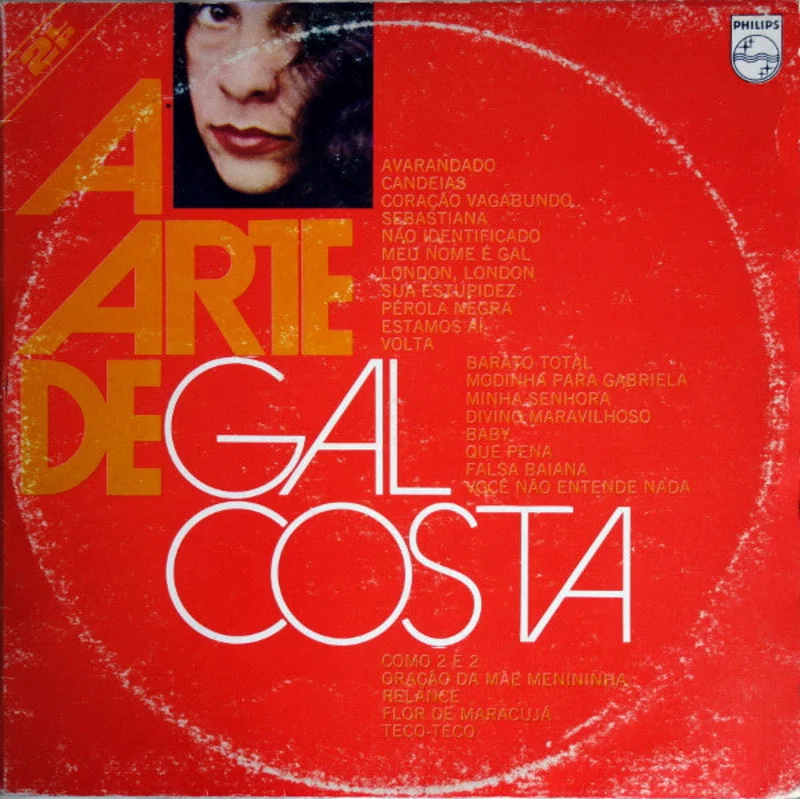 A Arte De Gal Costa