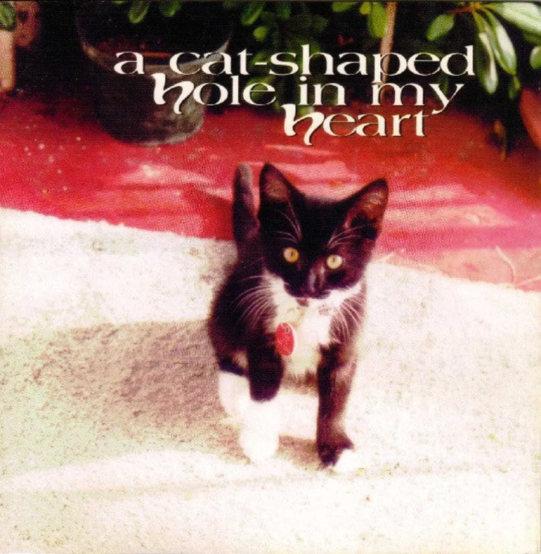 A Cat-Shaped Hole In My Heart