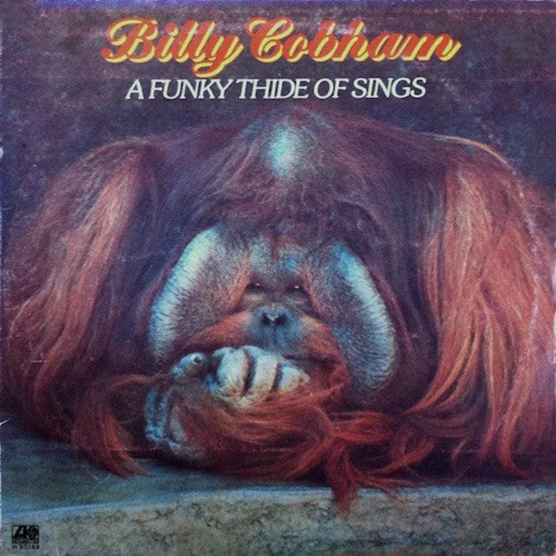 A Funky Thide Of Sings