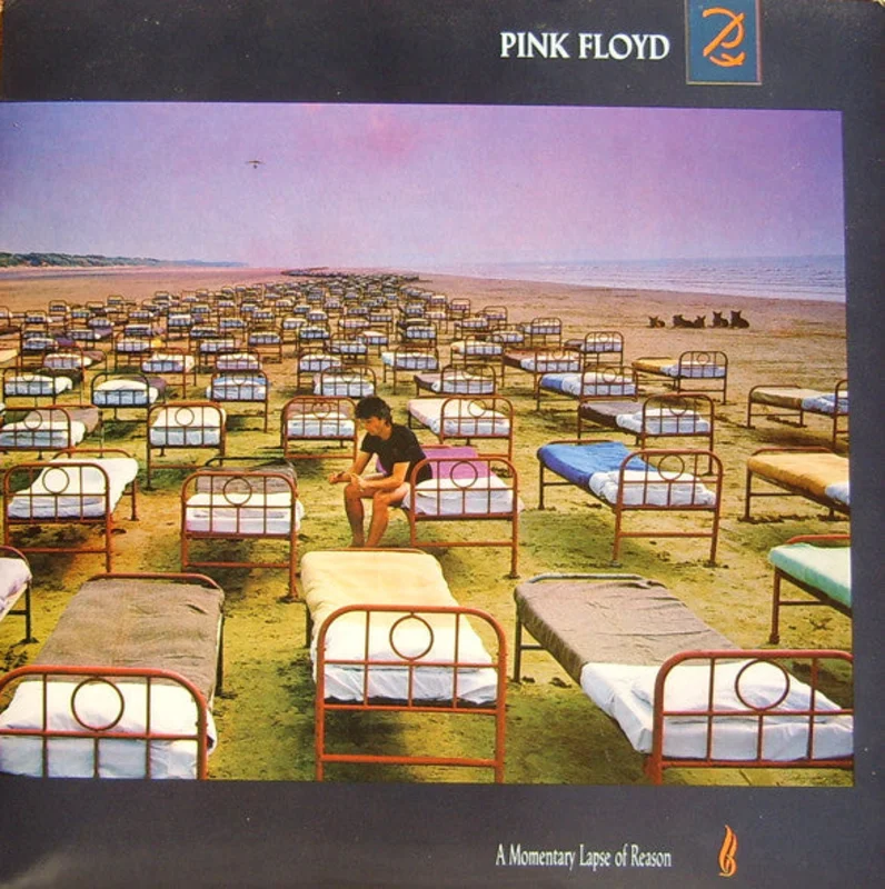 A Momentary Lapse Of Reason