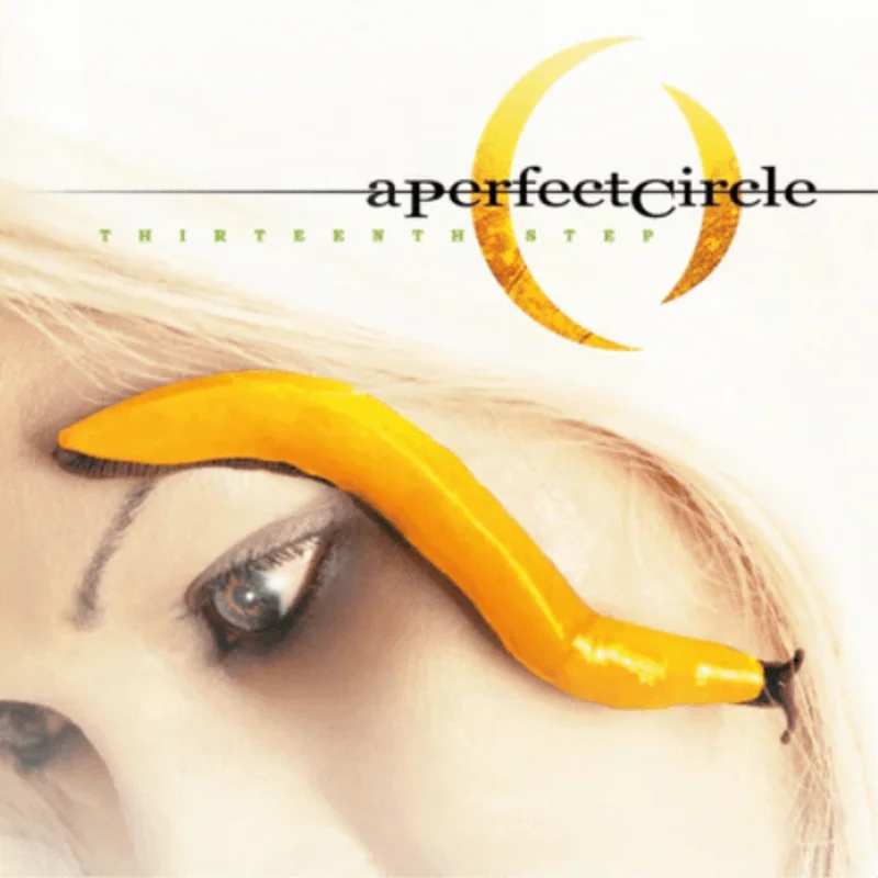 A Perfect Circle - Thirteenth Step - Vinyl Record 180g Import