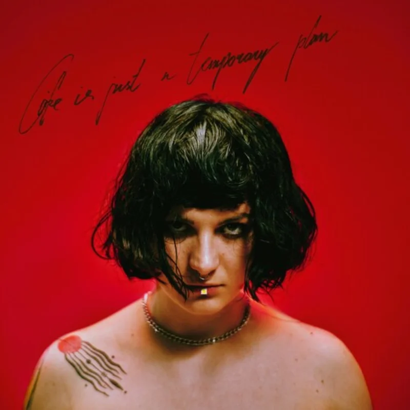 Abbie Falls - Life Is Just a Temporary Plan