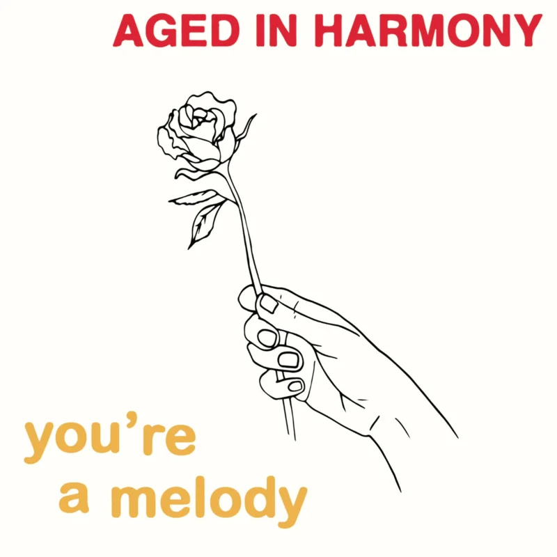 Aged In Harmony - You're a Melody 7" Vinyl Set