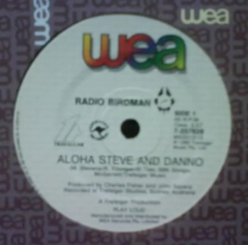 Aloha Steve And Danno