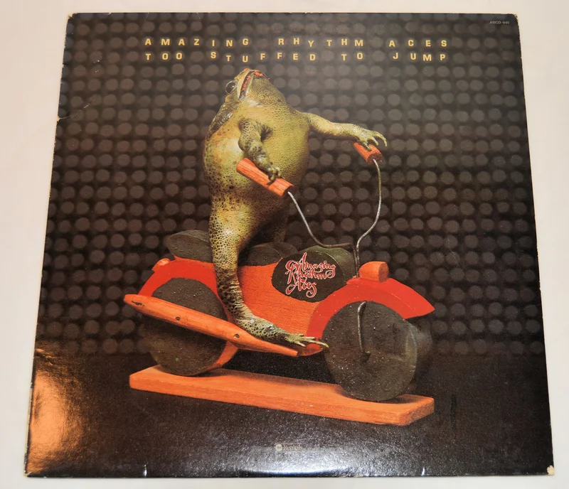 Amazing Rhythm Aces - Too Stuffed To Jump