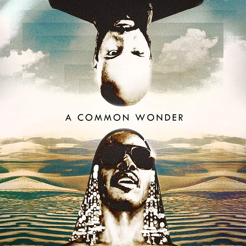 Amerigo Gazaway - Common vs Stevie Wonder: Common Wonder Vinyl LP