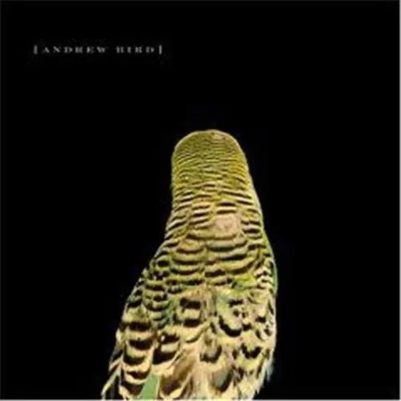 Andrew Bird - Armchair Apocrypha Vinyl Record