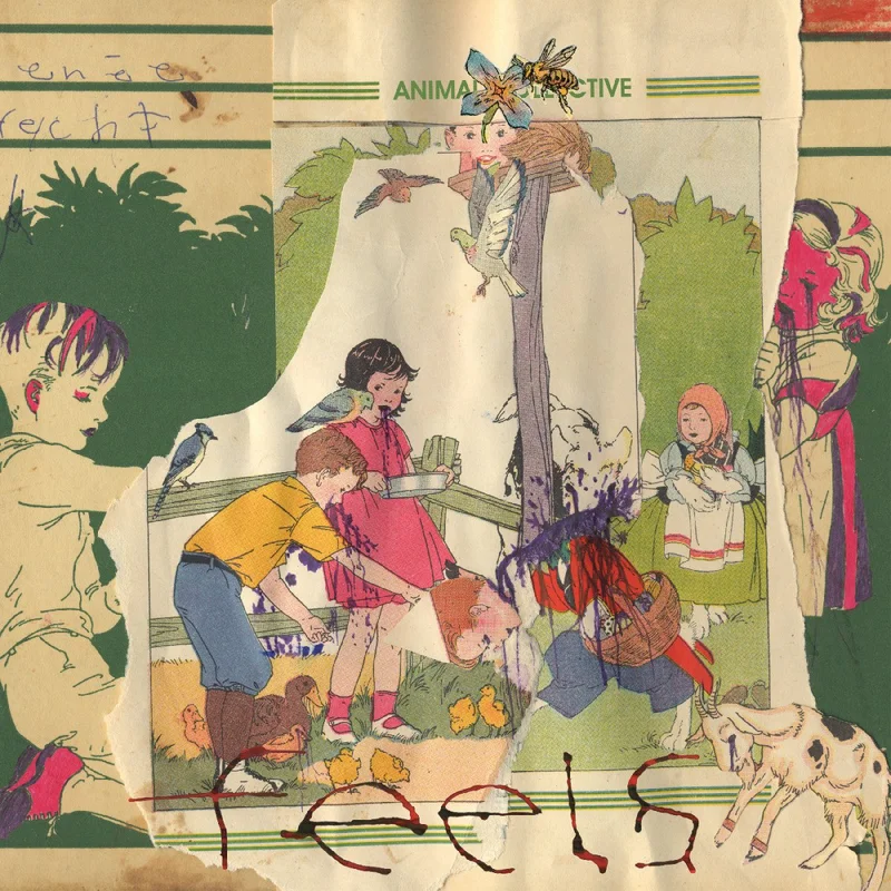 Animal Collective - Feels 20th Anniversary (Deluxe Edition) (Translucent Grape Color) Vinyl LP