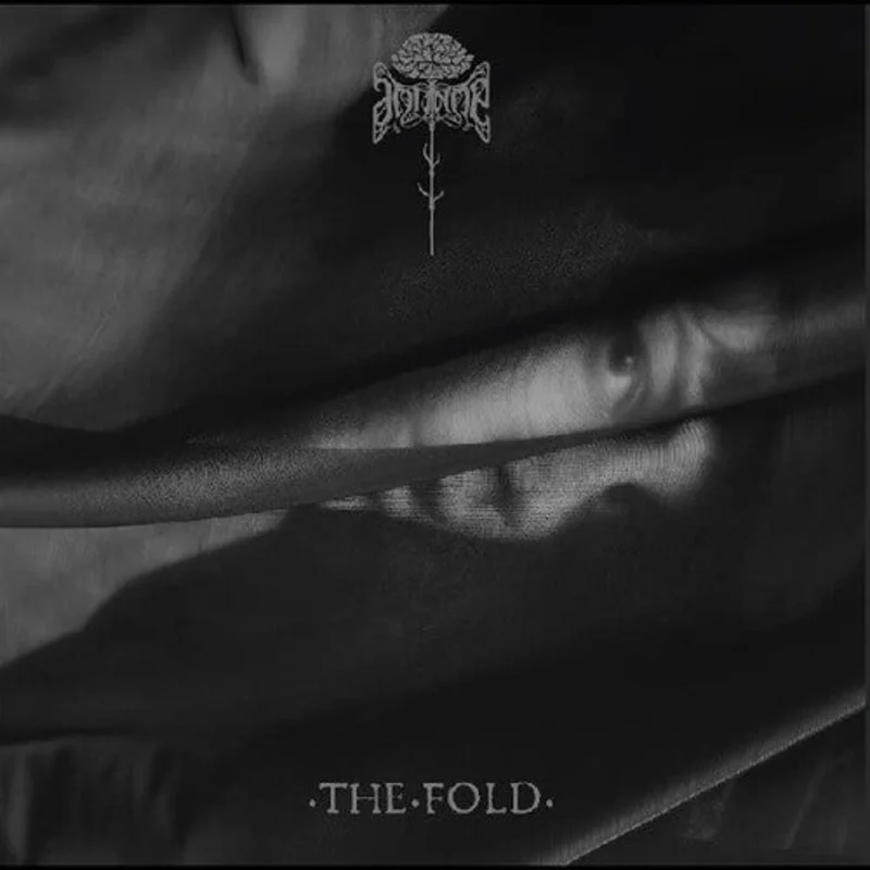 Antinoe - The Fold