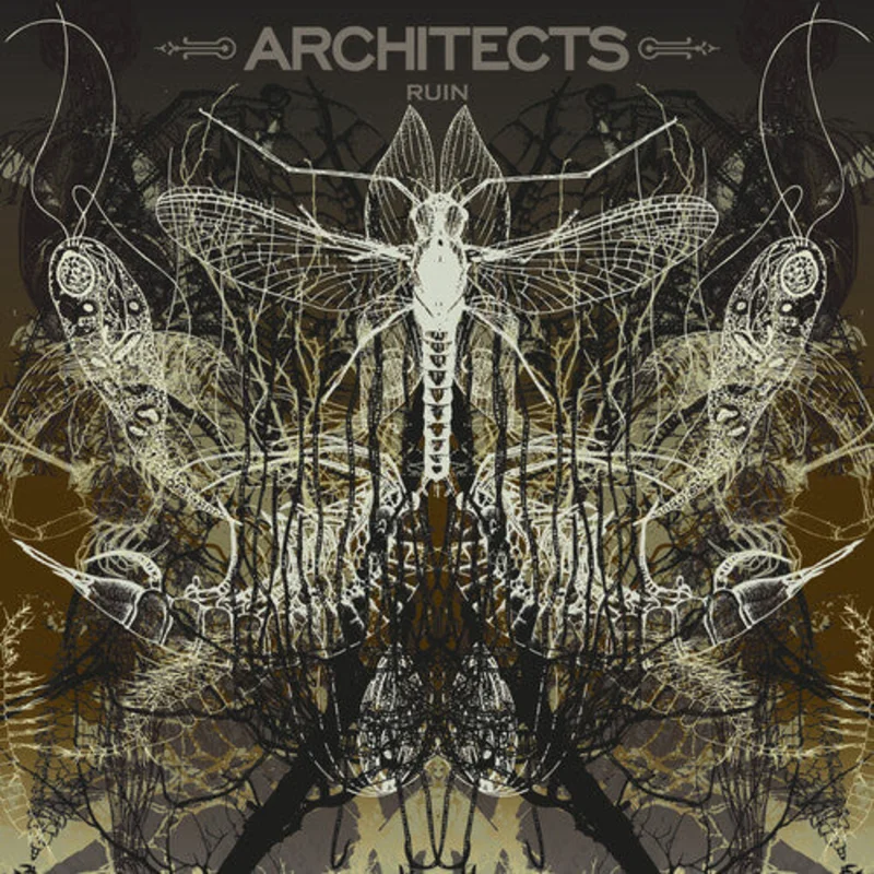 Architects - Ruin