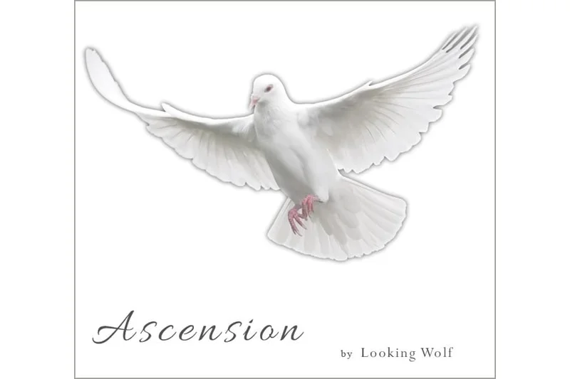 Ascension CD