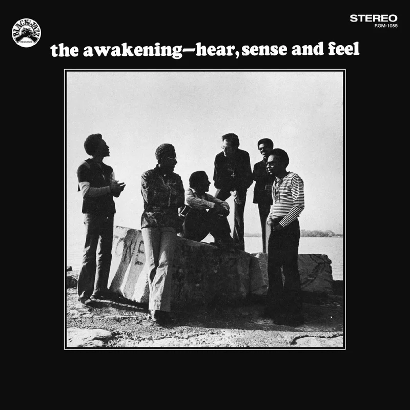 Awakening, The - Hear, Sense and Feel (Blue & Black Swirl Color) Vinyl LP