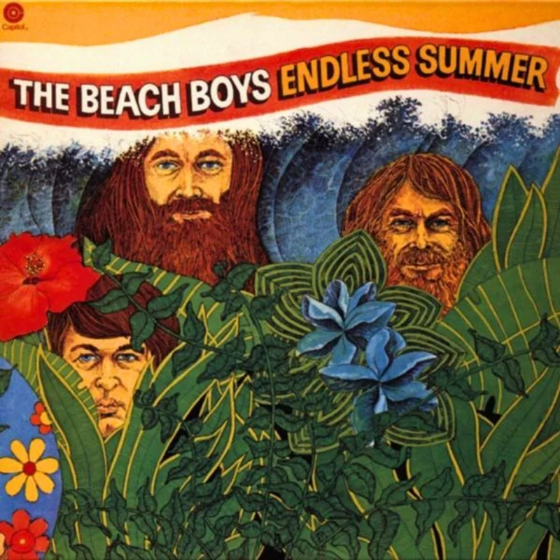 Beach Boys - Endless Summer - 180g 2LP Vinyl Record