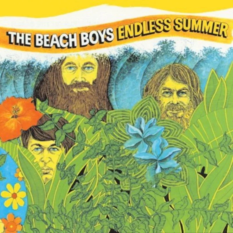 Beach Boys - Endless Summer (Limited Edition) Vinyl LP