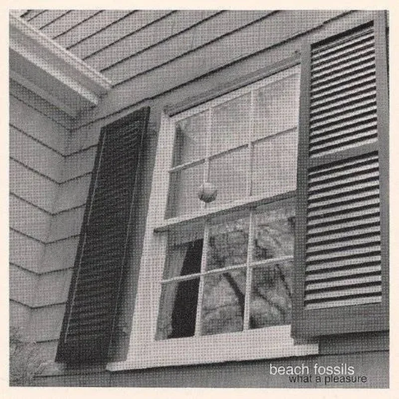 Beach Fossils - What a Pleasure - Vinyl Record