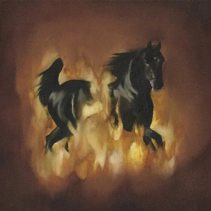 Besnard Lakes - The Besnard Lakes Are The Dark Horse - Vinyl Record