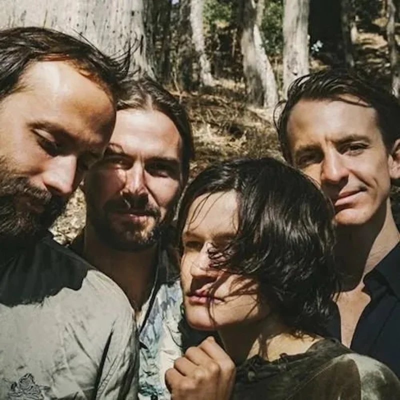 Big Thief - Two Hands - Vinyl Record