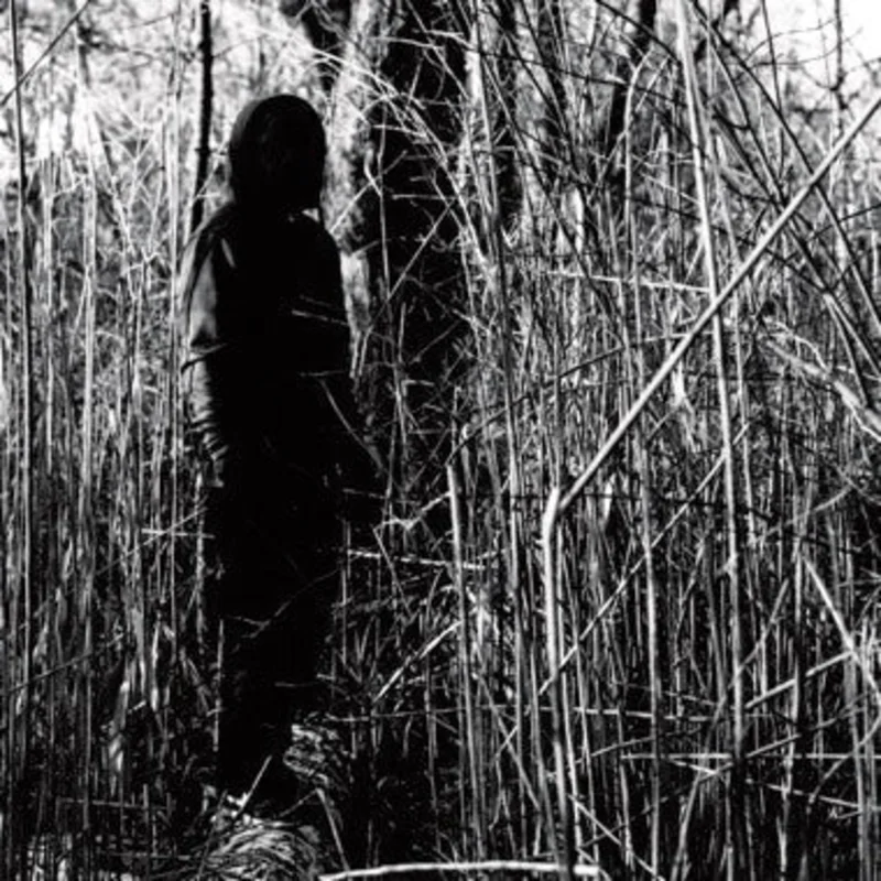 billy woods - Today, I Wrote Nothing (10th Anniversary) (Coke Bottle Clear Color) Vinyl LP