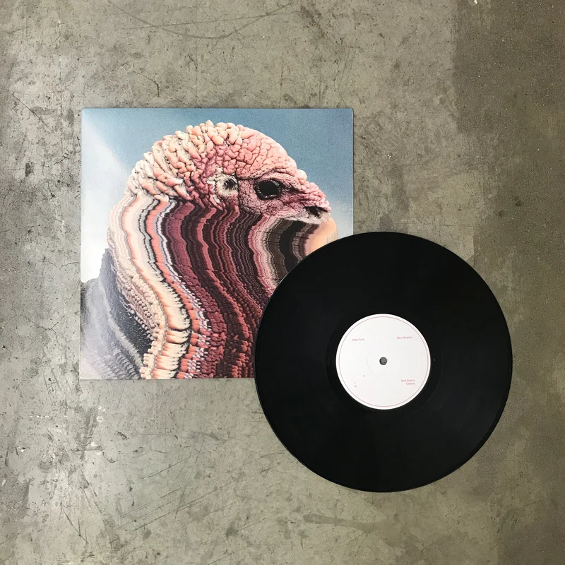 Bird Brains 10"