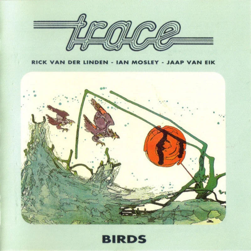 Birds