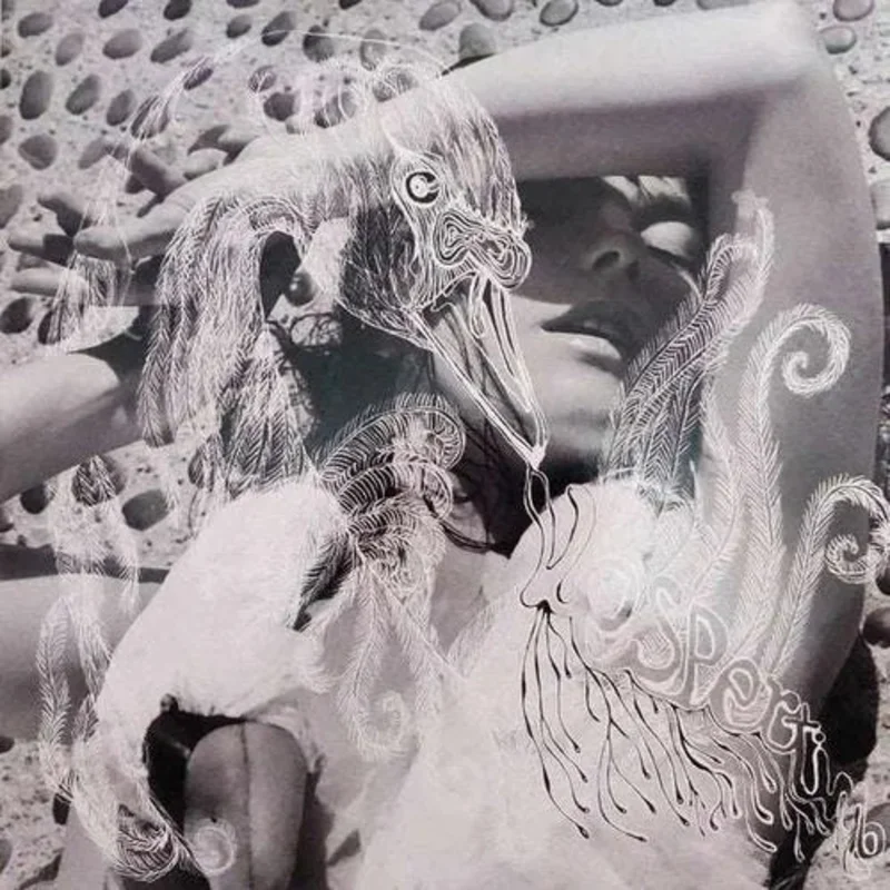 Bjrk - Vespertine - Vinyl Record