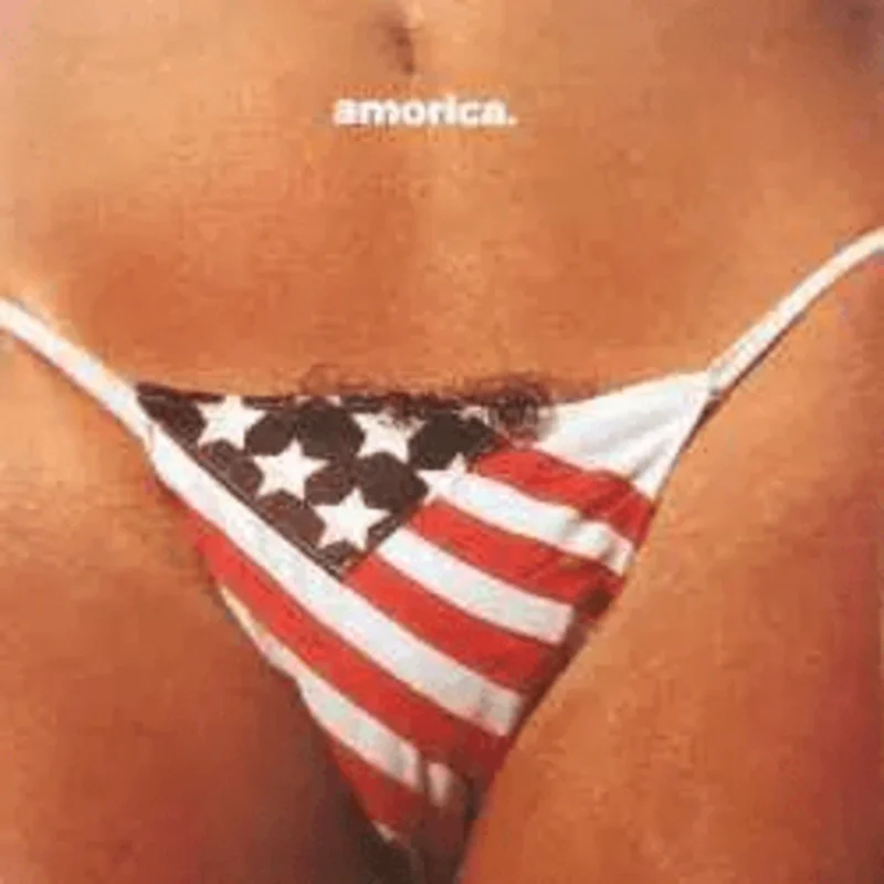 Black Crowes - Amorica Vinyl LP