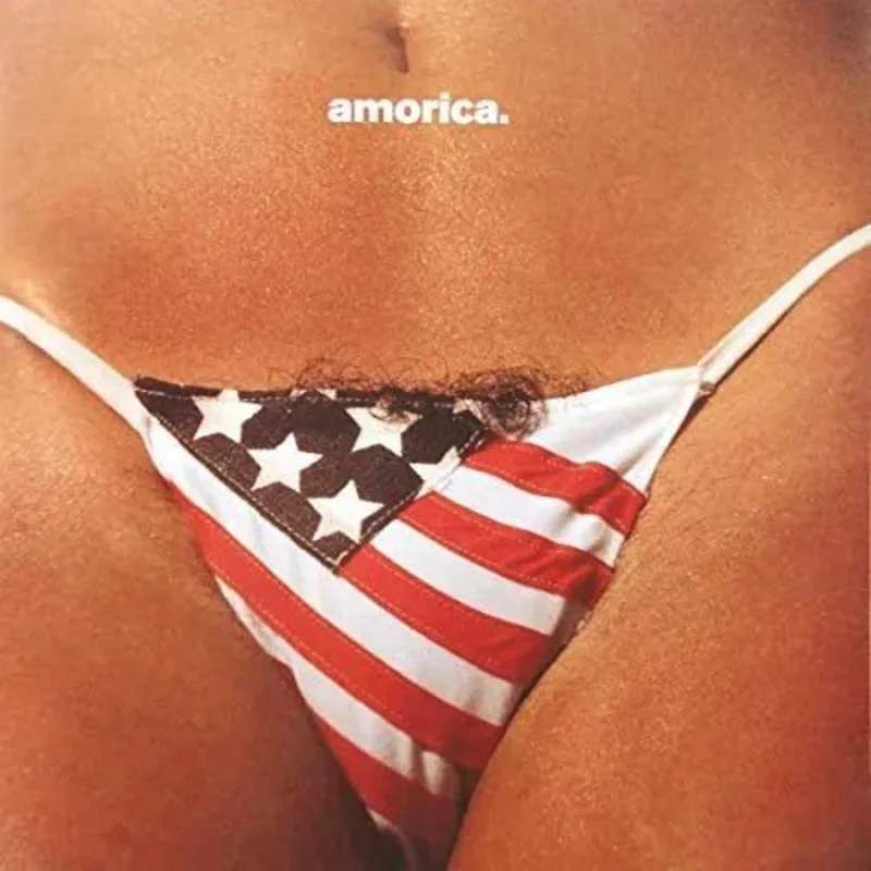Black Crowes - Amorica - Vinyl Record 2LP