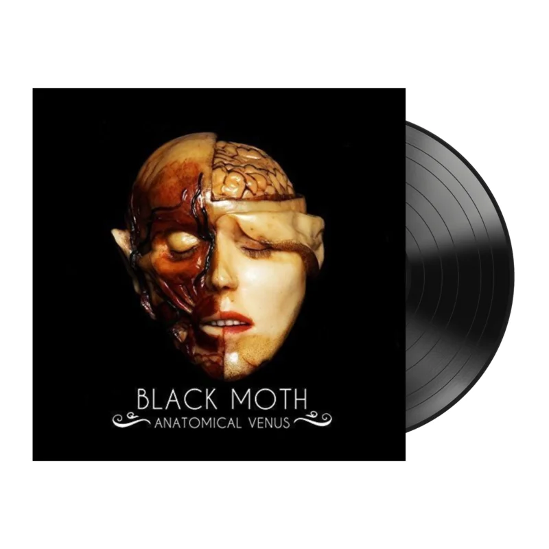 Black Moth - Anatomical Venus
