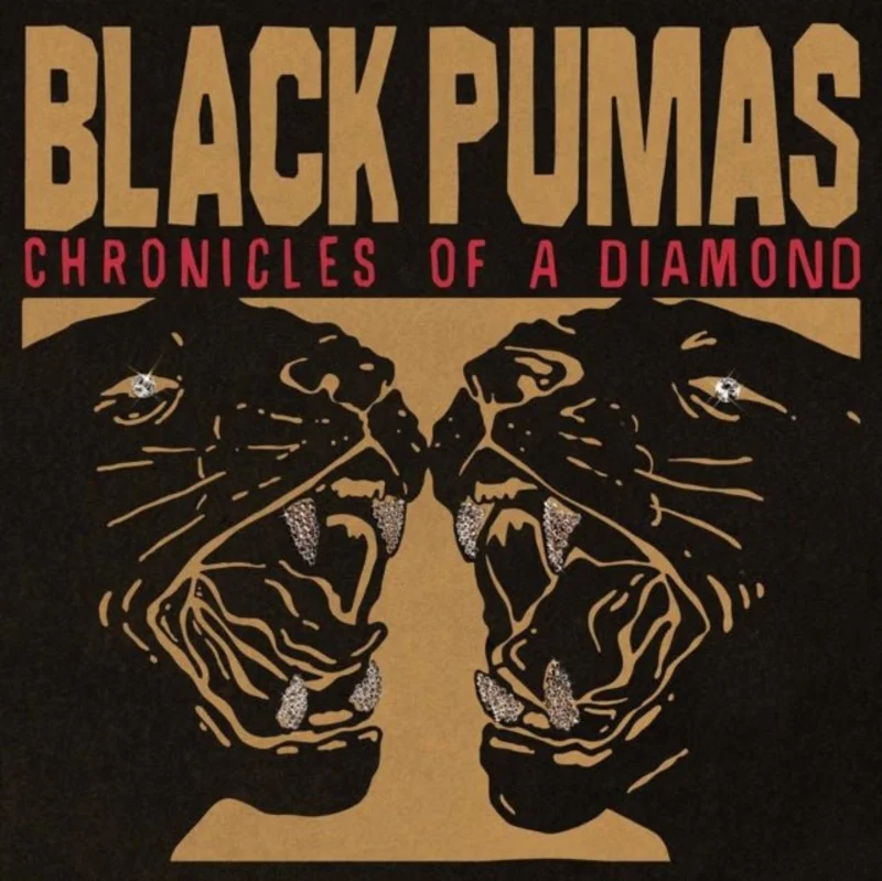 Black Pumas - Chronicles of a Diamond (Clear Color) Vinyl LP