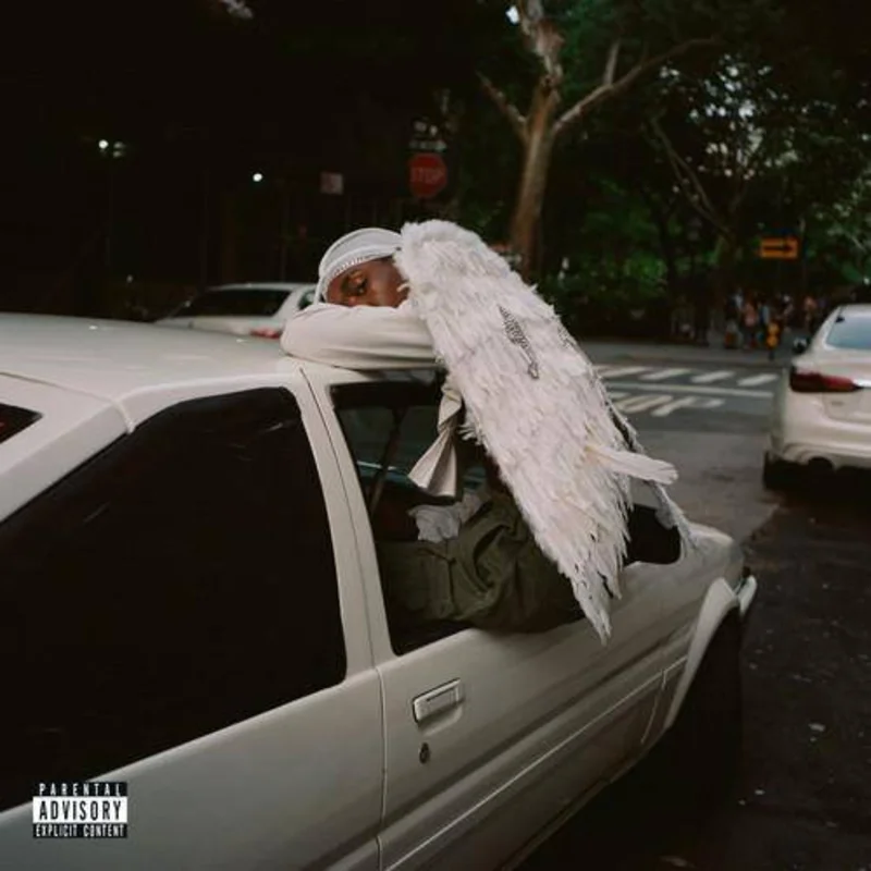 Blood Orange - Negro Swan Vinyl LP