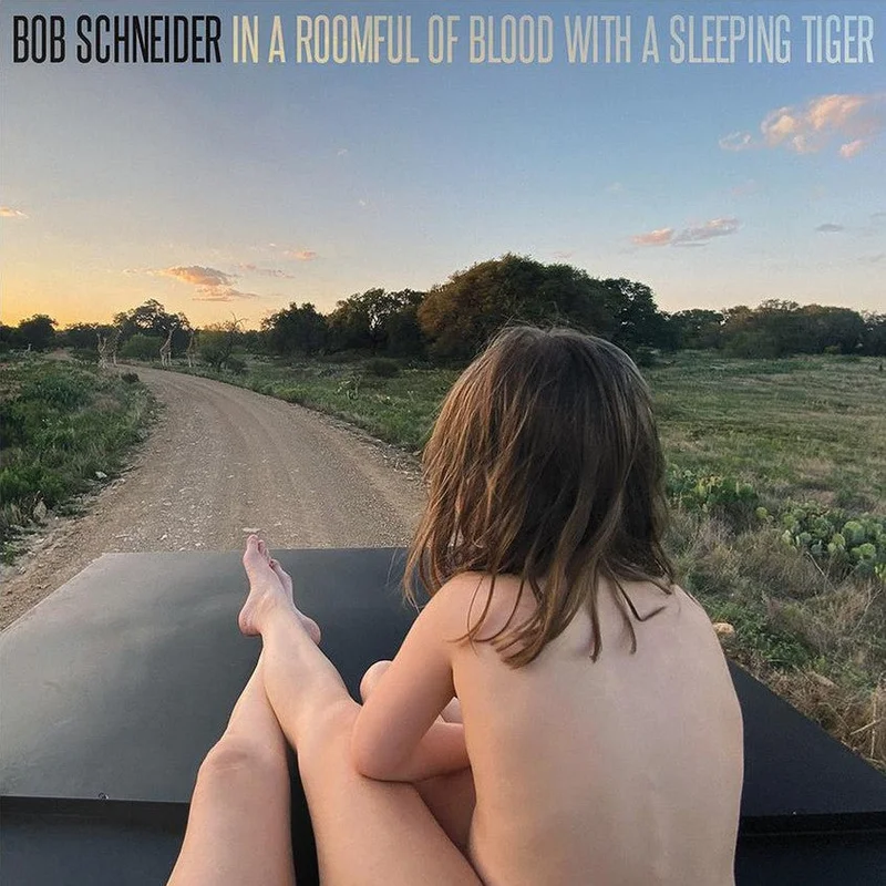 Bob Schneider - In a Roomful of Blood With a Sleeping Tiger Vinyl LP