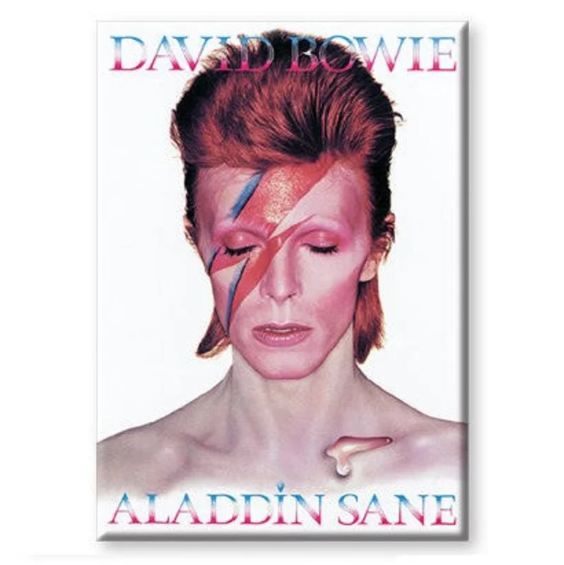 Bowie, David - Aladdin Sane Magnet