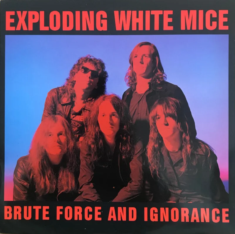 Brute Force And Ignorance