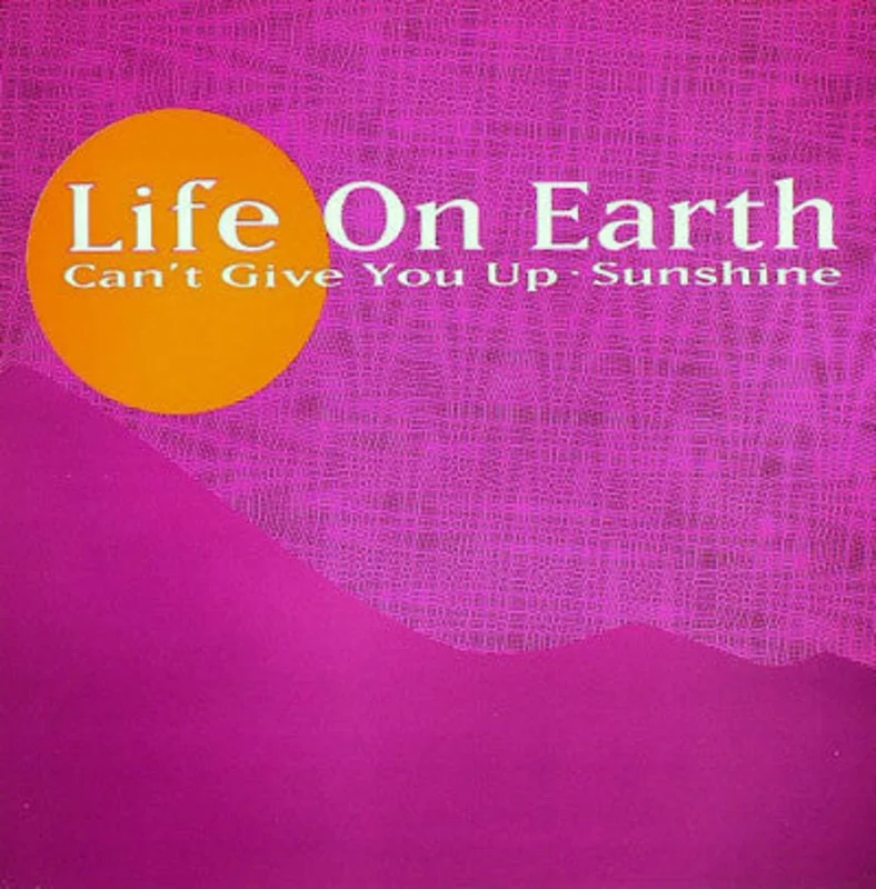 Can't Give You Up