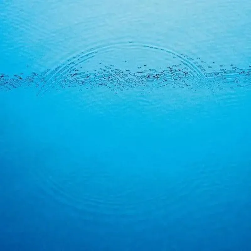 Caribou - Suddenly Vinyl Record