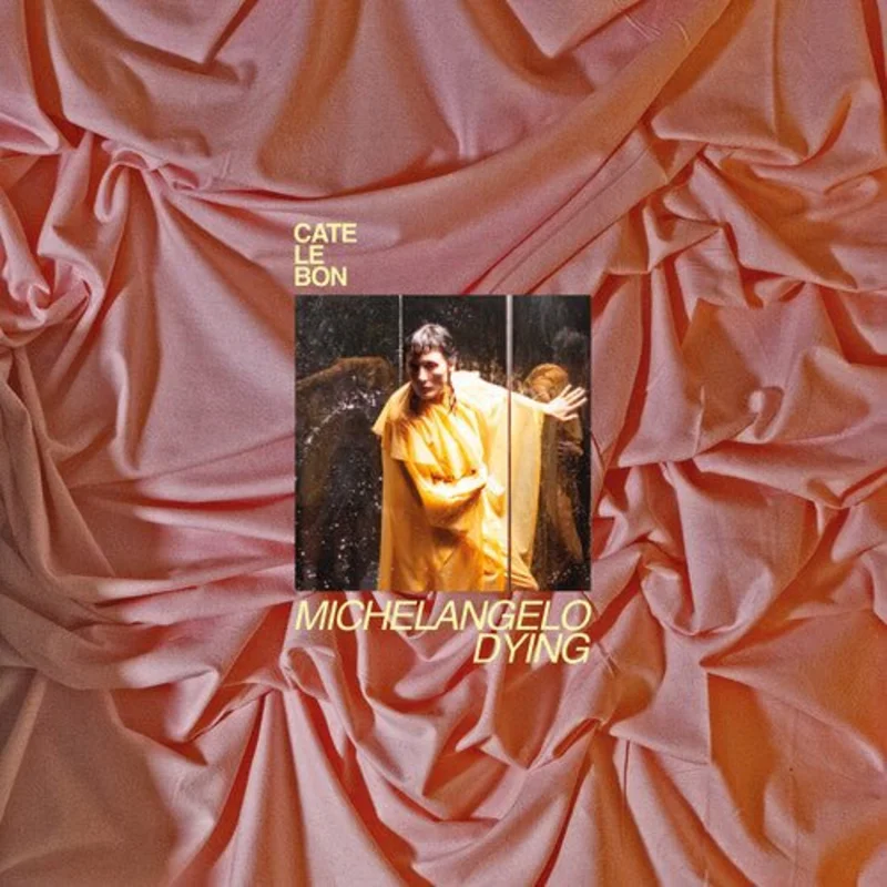 Cate Le Bon - Michelangelo Dying Vinyl LP