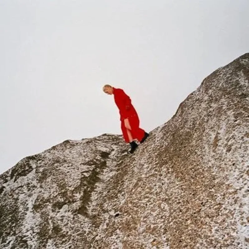 Cate Le Bon - Reward - Vinyl Record LP