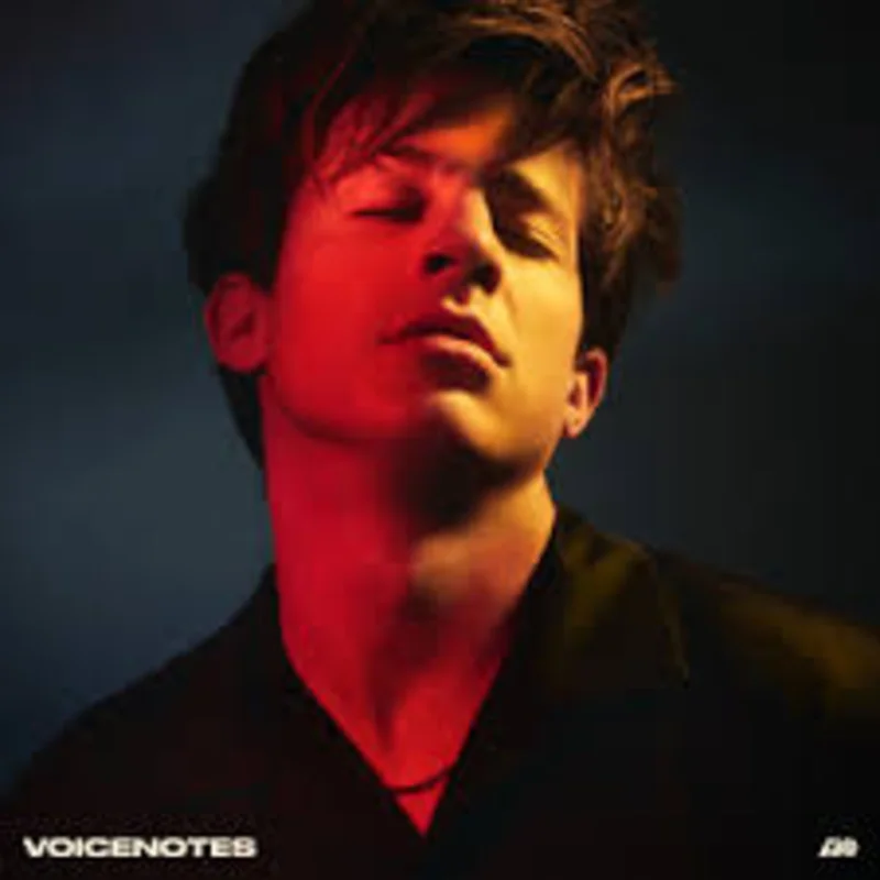 Charlie Puth  Voicenotes (Quick Ship)