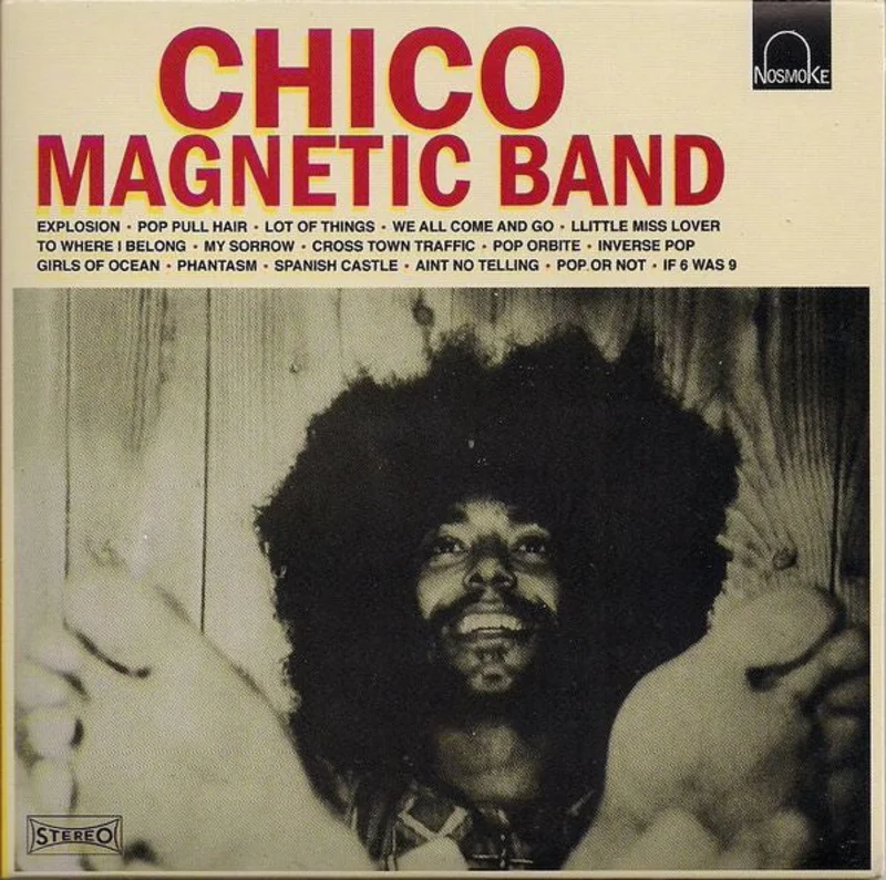 Chico Magnetic Band