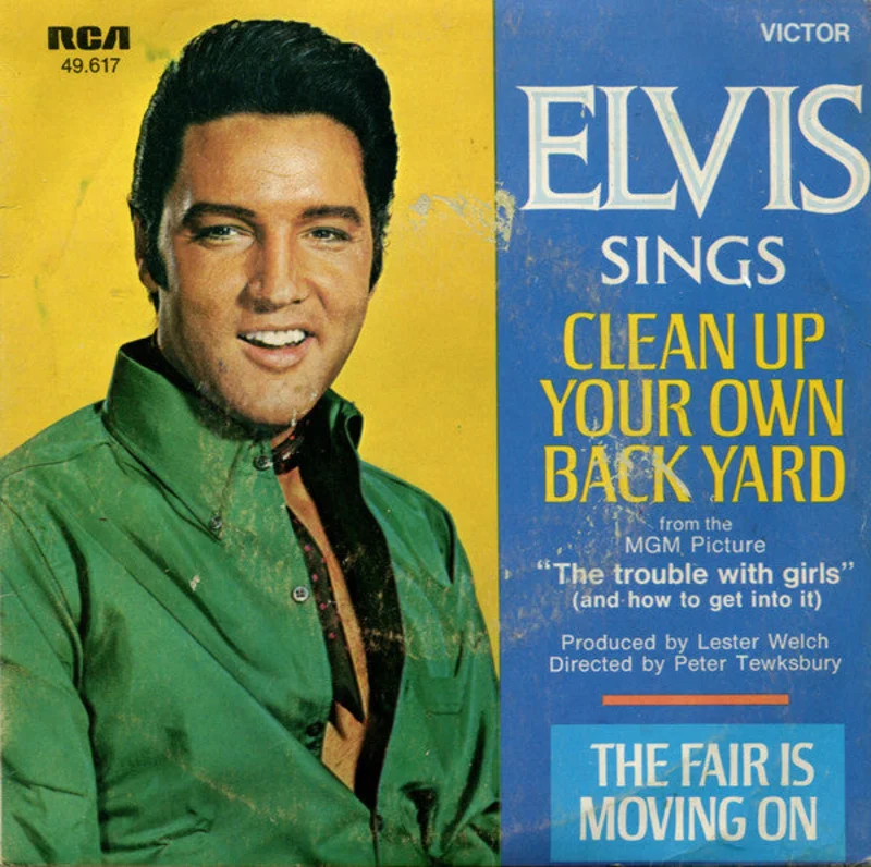 Clean Up Your Own Back Yard