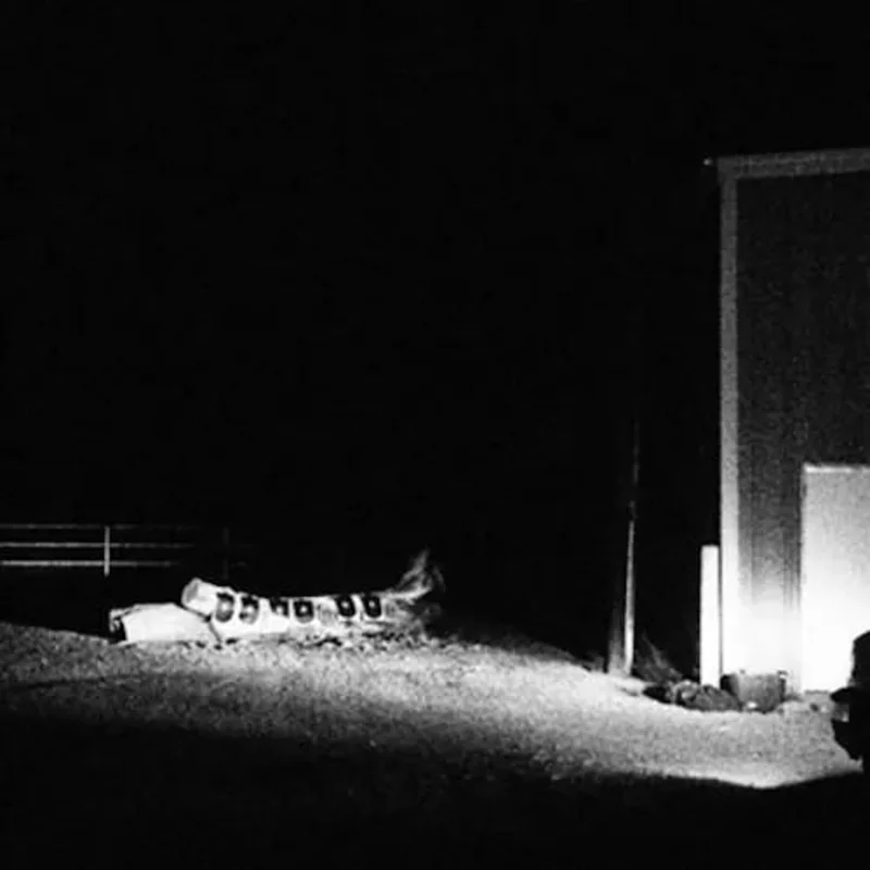 Cloud Nothings - Last Building Burning Vinyl Record