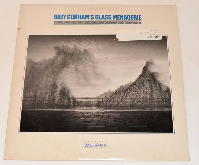 Cobham, Billy - Observations &