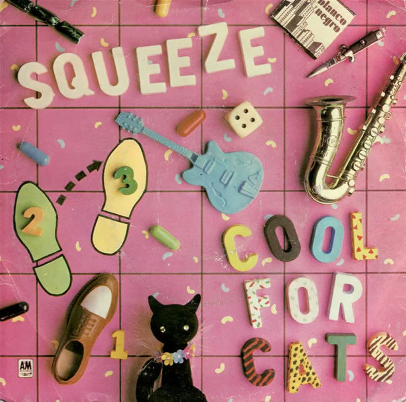 Cool For Cats