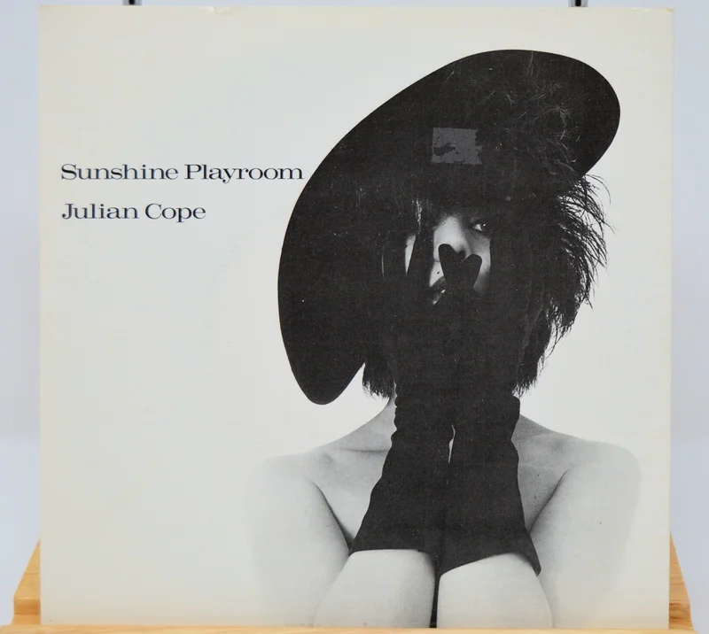 Cope, Julian Sunshine Playroom