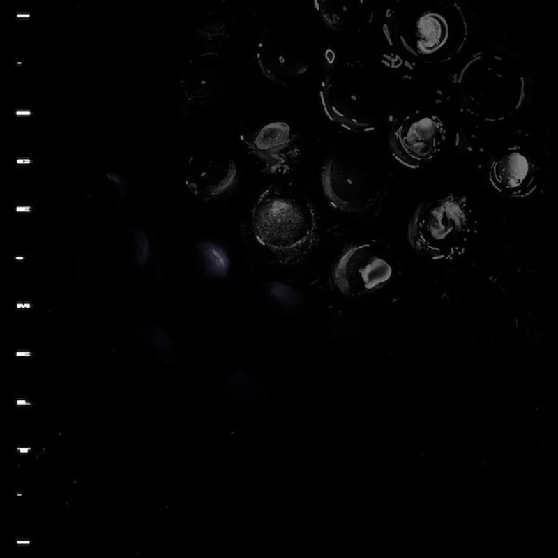 Crumb - Ice Melt - Vinyl Record