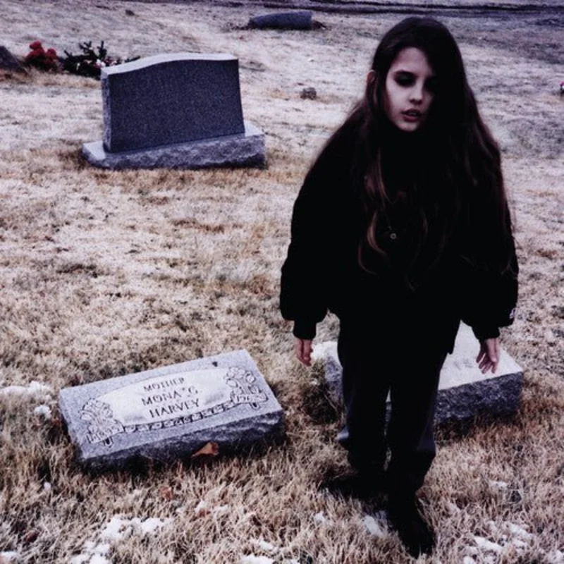 Crystal Castles - II/2 Vinyl LP
