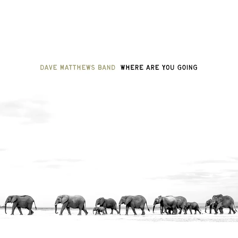 Dave Matthews Band  Where Are You Going: The Singles Vinyl Record *