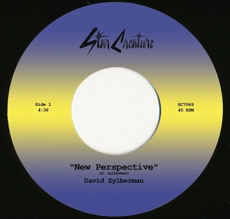 David Zylberman - New Perspective Vinyl 7"