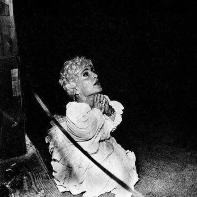 Deerhunter- Halcyon Digest Vinyl Record Import