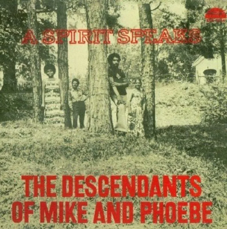Descendants of Mike & Phoebe - Spirit Speaks Vinyl LP